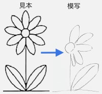 半側空間無視の現れ方の一例